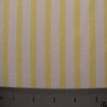 Cotton Striped Shirting #3 - NY Fashion Center Fabrics