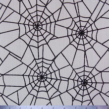 Spider Web Mesh