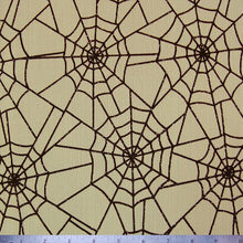 Spider Web Mesh